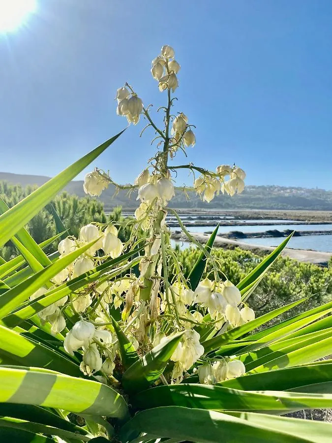 Vakantiehuis Herdade D' Amoreira Aljezur