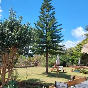 Viewpoint Machico - Lovely Nature View Apartamento Machico (Madeira)